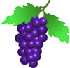 Weintrauben sind gesund
